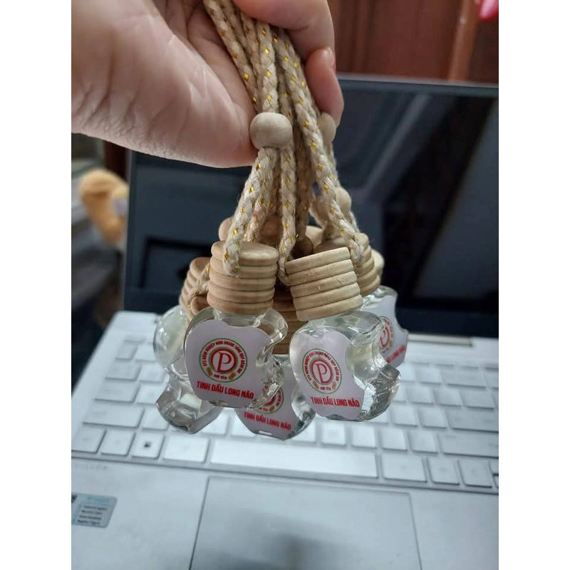 Hương Long Não Phú Yên. 475981