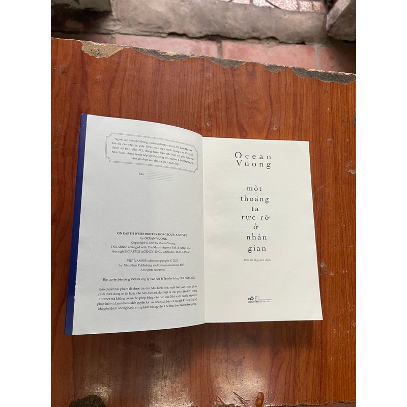 Một thoáng ta rực rỡ ở nhân gian- Ocean Vuong 539224