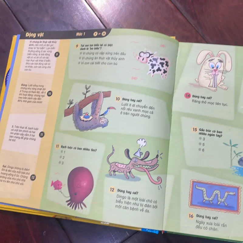 Sách hiếm : trắc nghiệm toàn diện về BÁCH KHOA TRI THỨC - maxi quiz - hơn 1000 câu hỏi 1027005