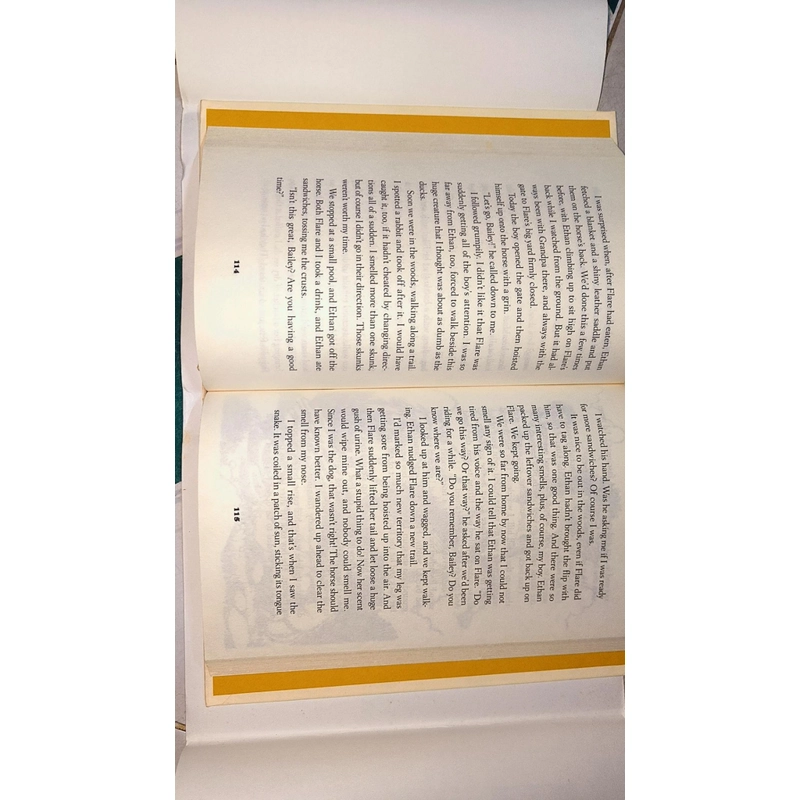 Sách chapters về cún - Bailey's story ( A dog's purpose novel) 470544