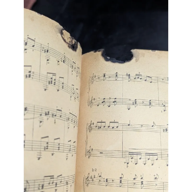 Tự học tây ban cầm phương pháp flamenco - Lan Đài và Y Vân 727087