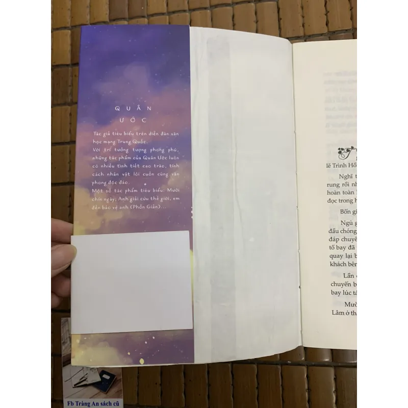 Phồn Giản - Anh giải cứu thế giới, em đến bảo vệ anh (Quân Ước) 957516