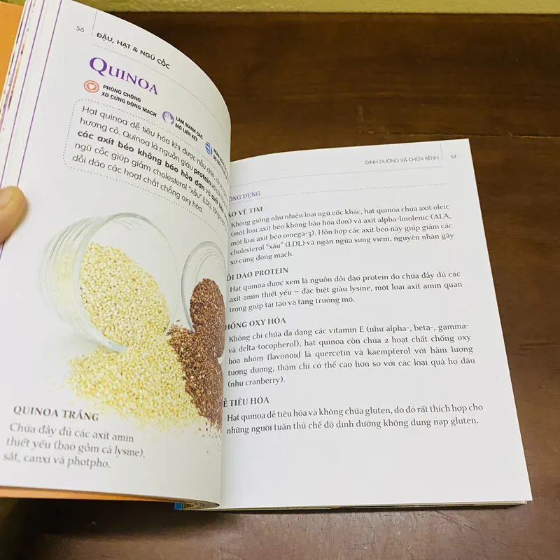 Dinh dưỡng chữa bệnh: đậu, hạt, ngũ cốc  606035