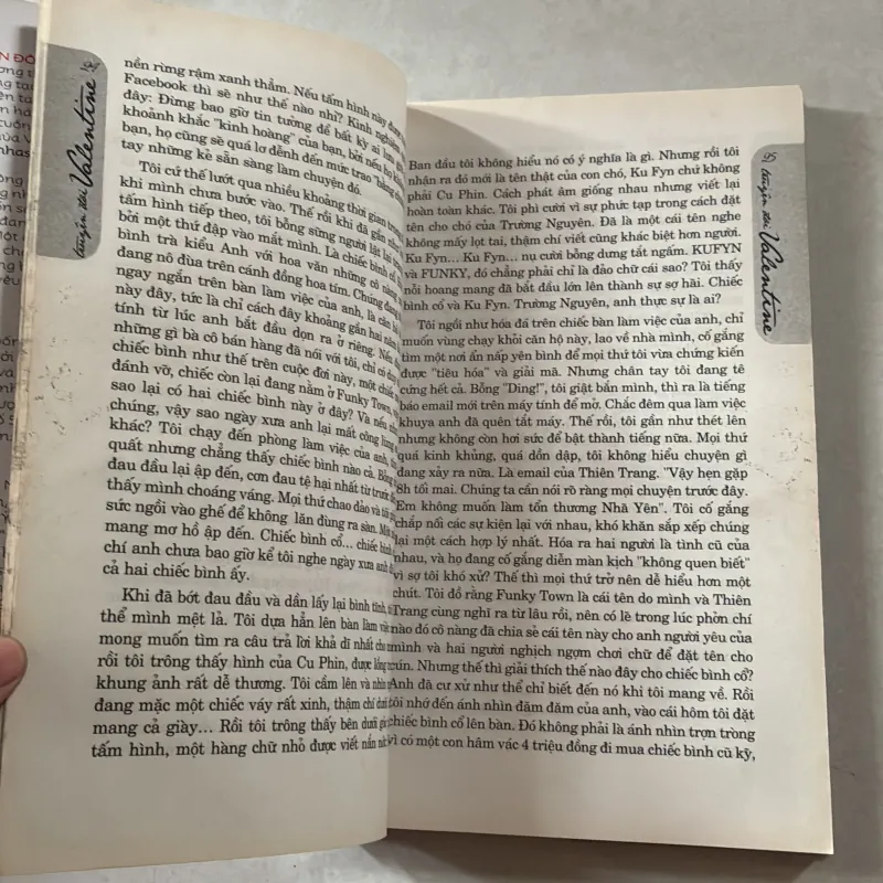 Truyện đôi Valentine 748076