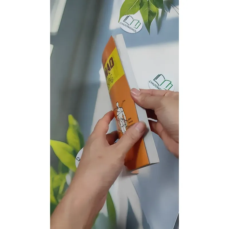 Tướng Mạo Trong Cuộc Sống - Thái Uyên & Hà Thiên 776128