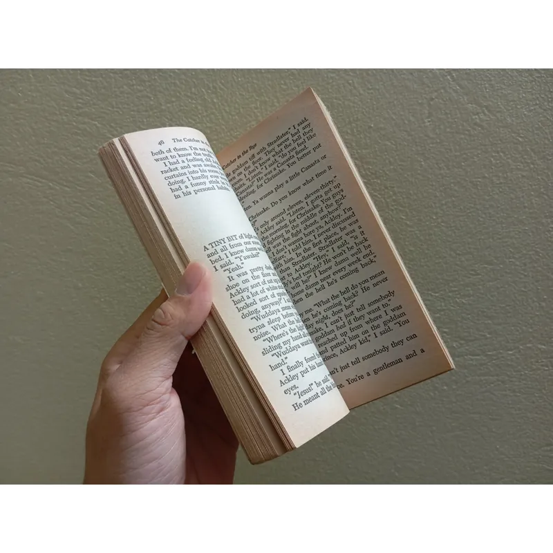 The catcher in the rye, sách ngoại văn tiếng Anh english book  736003