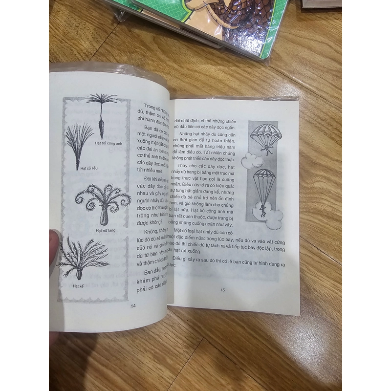Chuyện kể về quả và hạt 451758