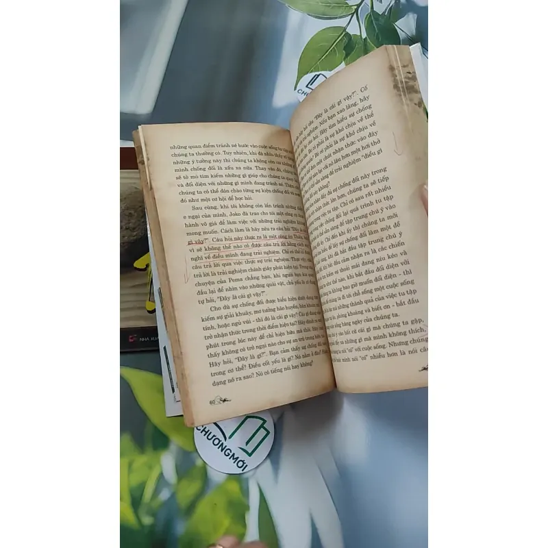 Combo: Sống Thiền, Mời Bạn Tập Thiền 776113