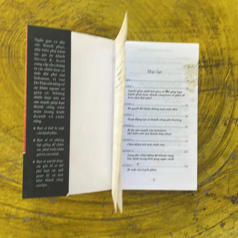 NGƯỜI GIÀU NHẤT THẾ GIAN - steven k. scott 1002480