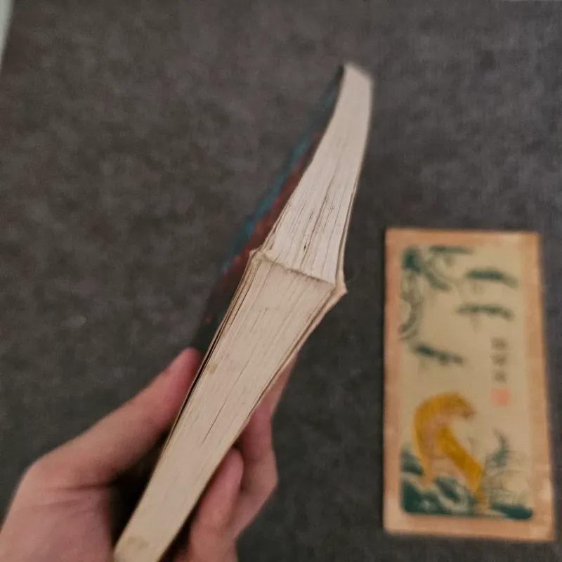 Nguồn cội - tình yêu tự do được là chính mình - osho 753275