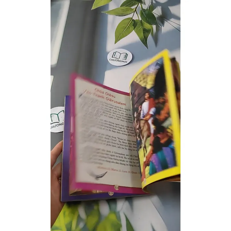 Minh Họa Kinh Thánh - L.M. Jude Winkler & OFM 727239