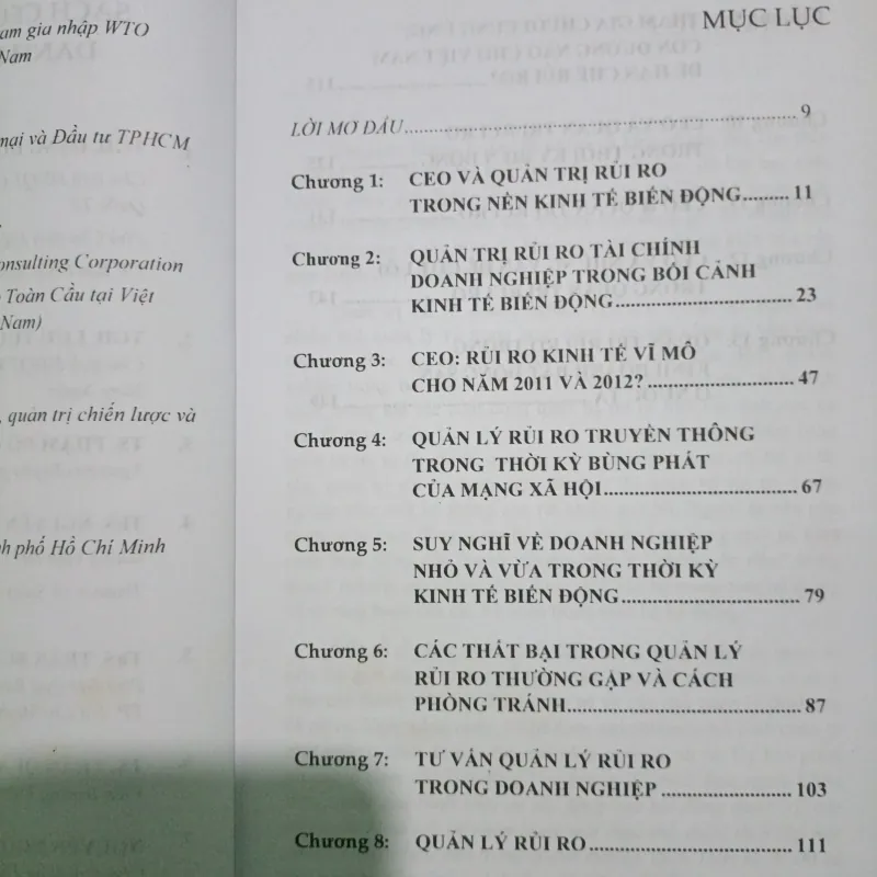 CEO VÀ QUẢN TRỊ RỦI RO  754300