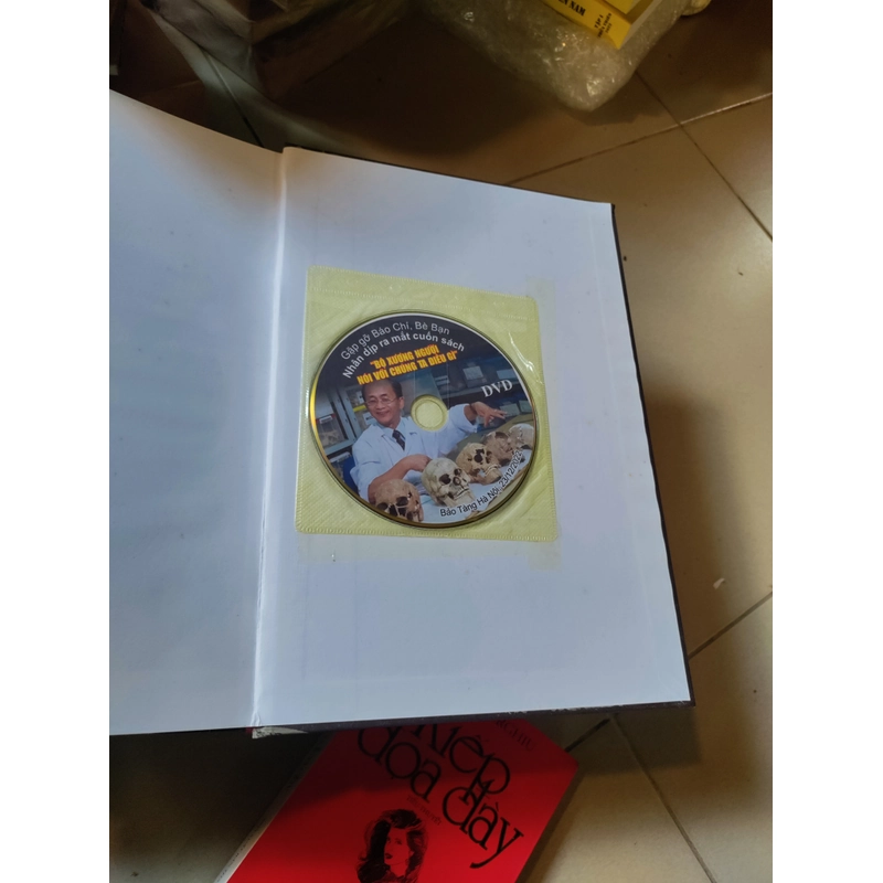 Bộ xương người nói với chúng ta điều gì 526451