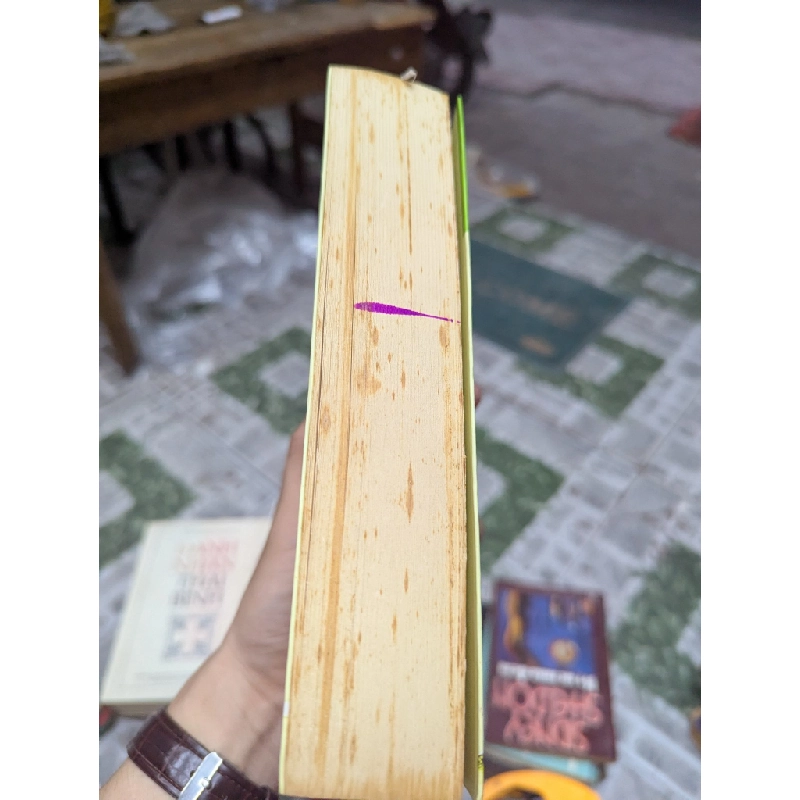 Cuộc phiêu lưu kỳ diệu của Nils - Selma Lagerlof 129373