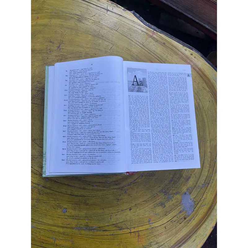 ĐẠI TỪ ĐIỂN ANH - VIỆT ENGLISH - VIETNAMESE DICTIONARY 730434