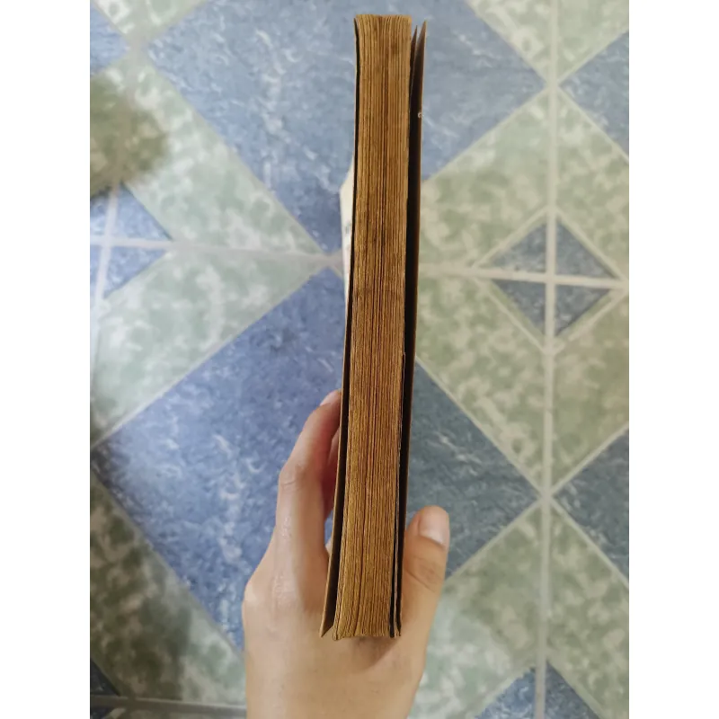 Nhập môn Thái cực Đạo đại Hàn - Tae kwon do - Phan Chấn Thanh & Choi Nam Stu 7 đẳng 708479