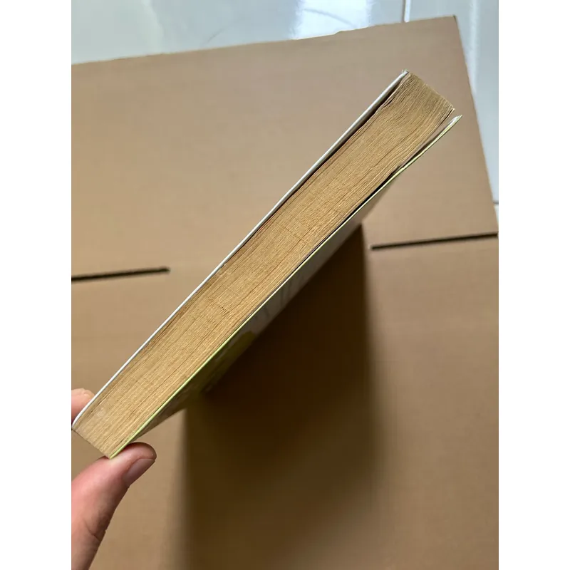 Yêu thương mẹ kế - Phan Thị Hồ Điệp 734202