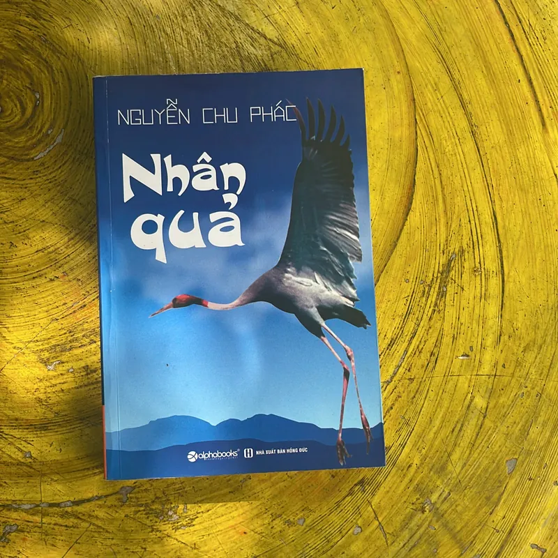 NHÂN QUẢ - NGUYỄN CHU PHÁT 695207