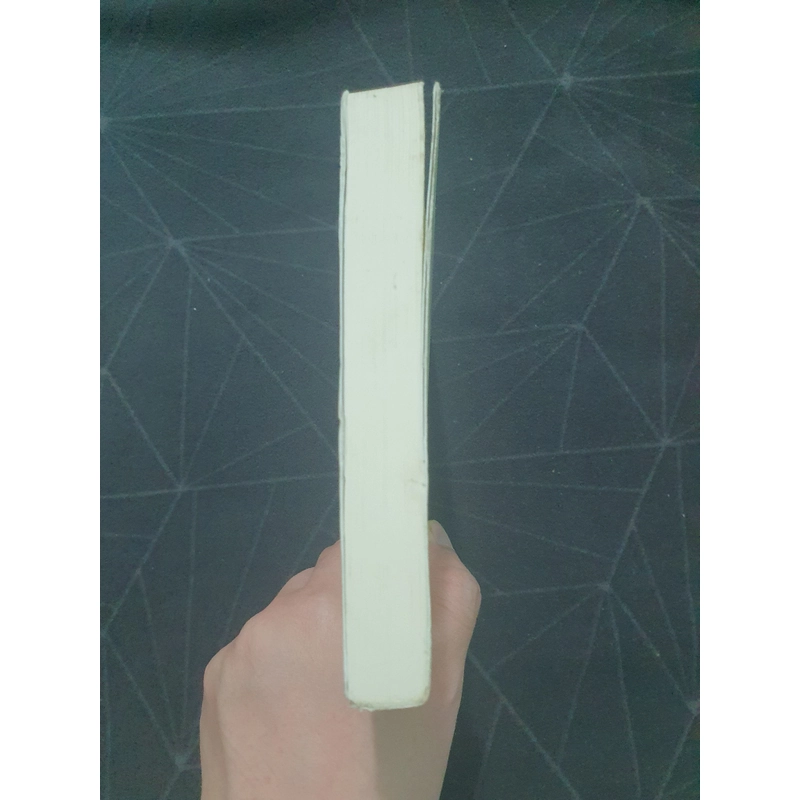 "Nỗi lo âu về địa vị" - Alain de Botton 496654