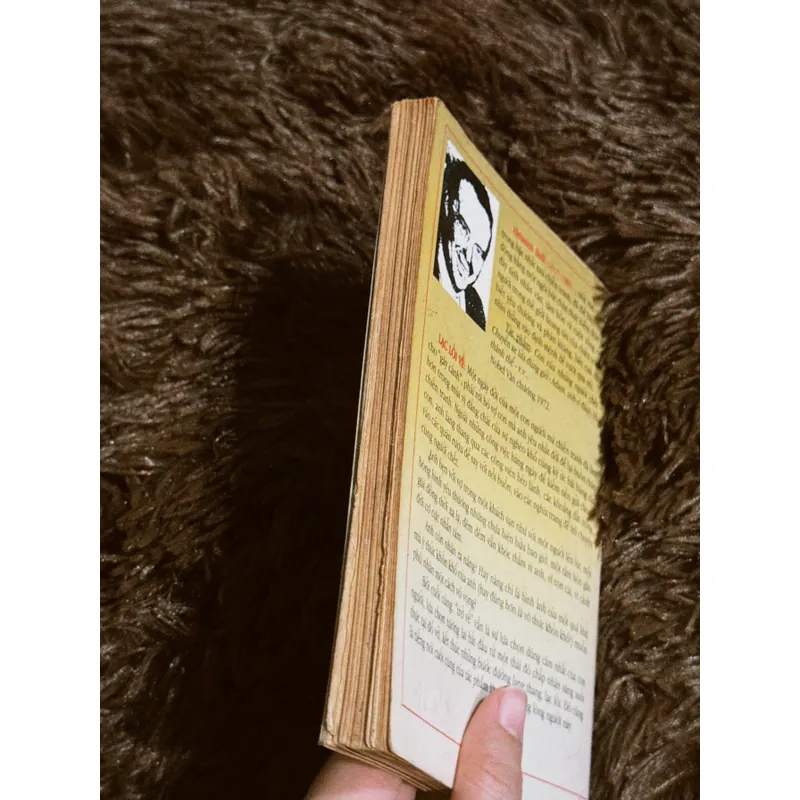 Lạc lối về 698386