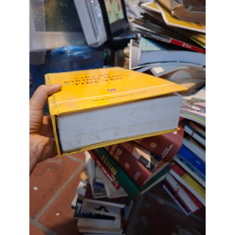 Việt sử cương mục tiết yếu 932130