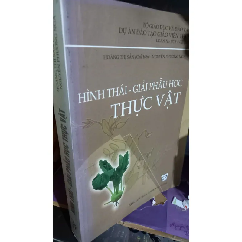 hình thái giải phẫu học thực vật 1003633