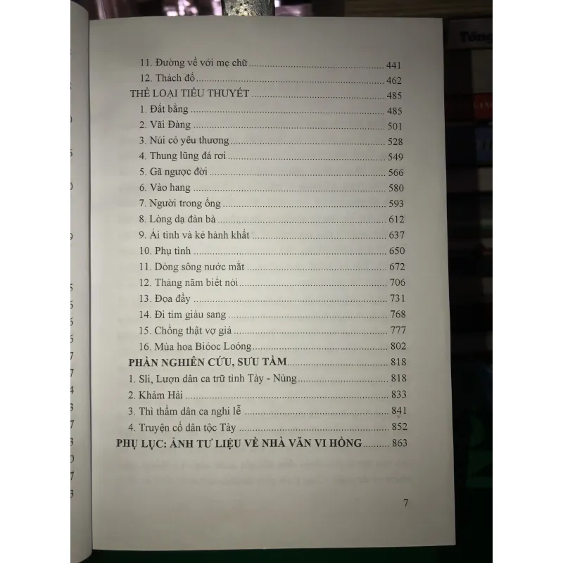 Vi Hồng - Tác phẩm và dư luận  779774