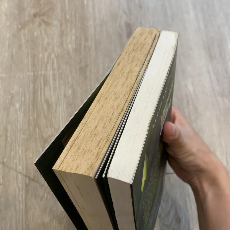 Minh Triết Trong Đời Sống - Darshani Deane 601444