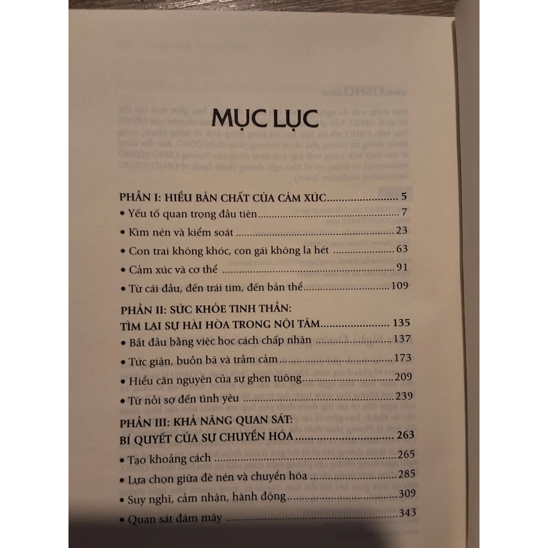 sách Cảm xúc - chuyển hóa nỗi sợ hãi, giận dữ và ghen tuông thành năng lượng sáng tạo 297507