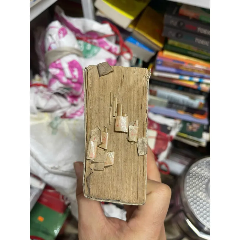 Từ điển Pháp Việt, mới 60% (DMChien) 726711