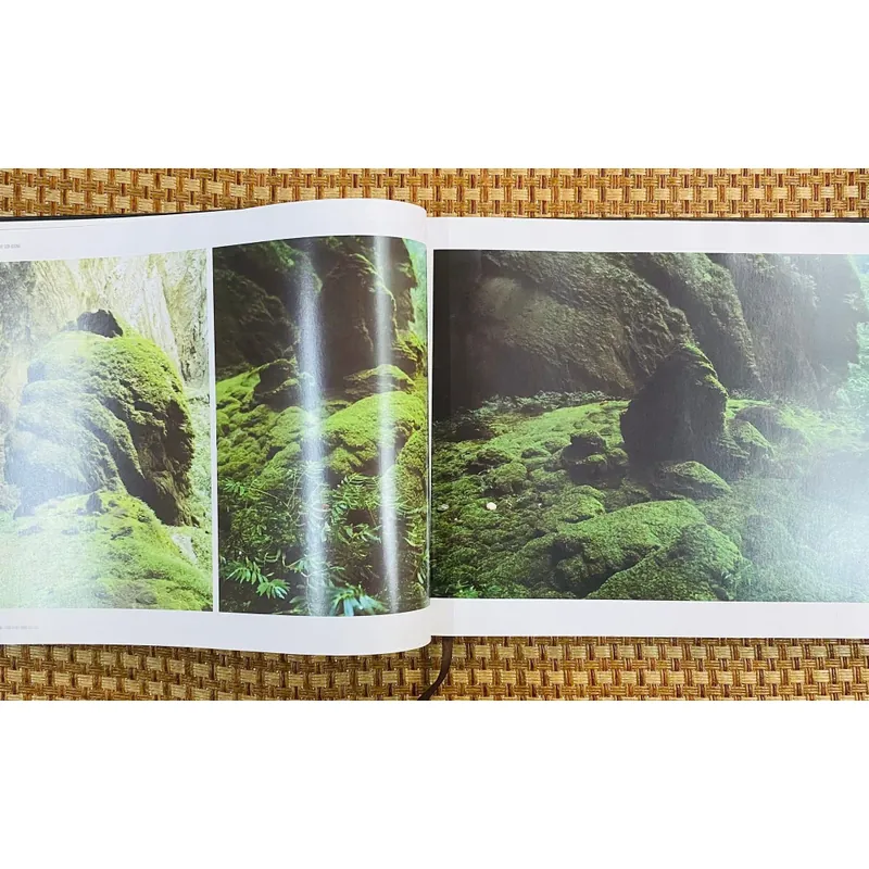 Sơn Đoòng tranh 591000