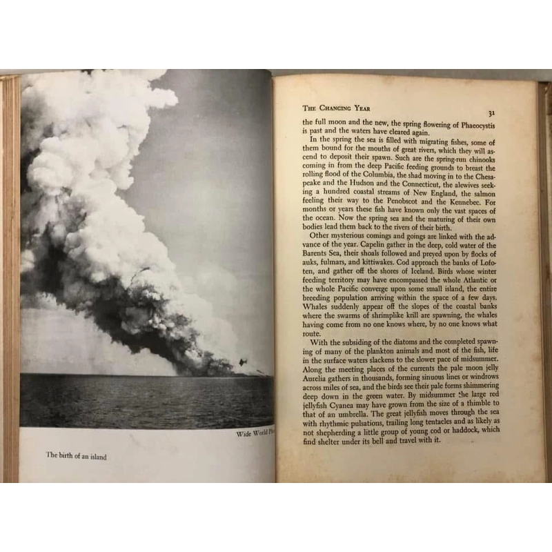 THE SEA AROUND US - Rachel L. Carson - Oxford University Press 1961  452847