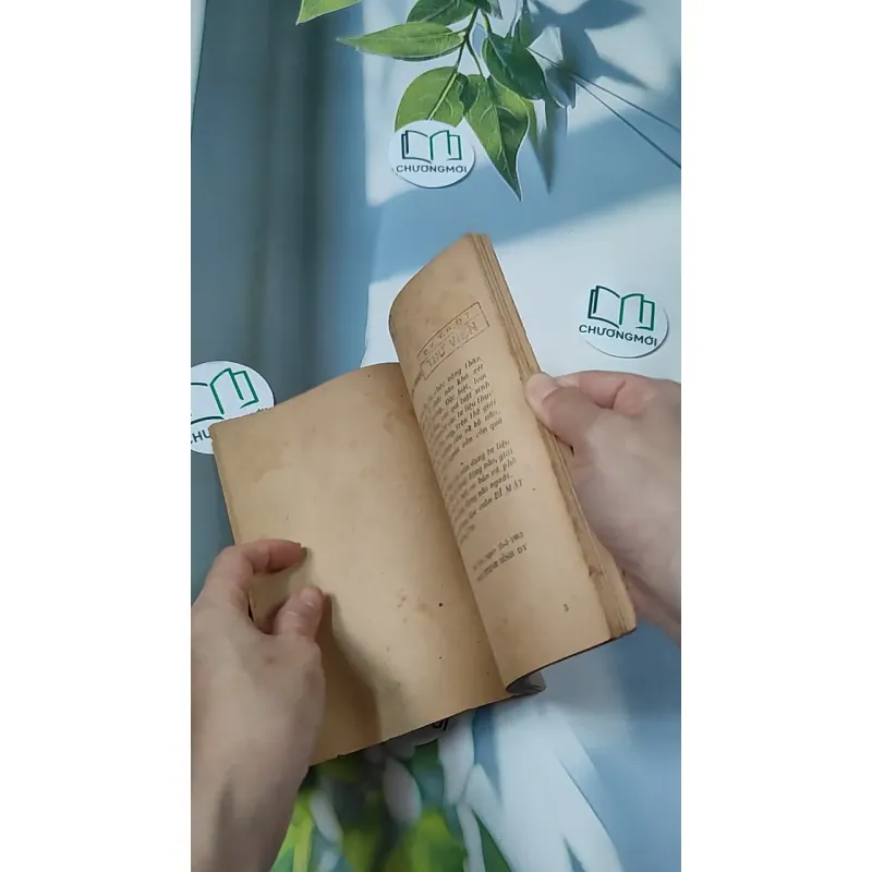 [XƯA] Bí Mật Đại Não (1982) - BS. Cao Trường Thọ 775987