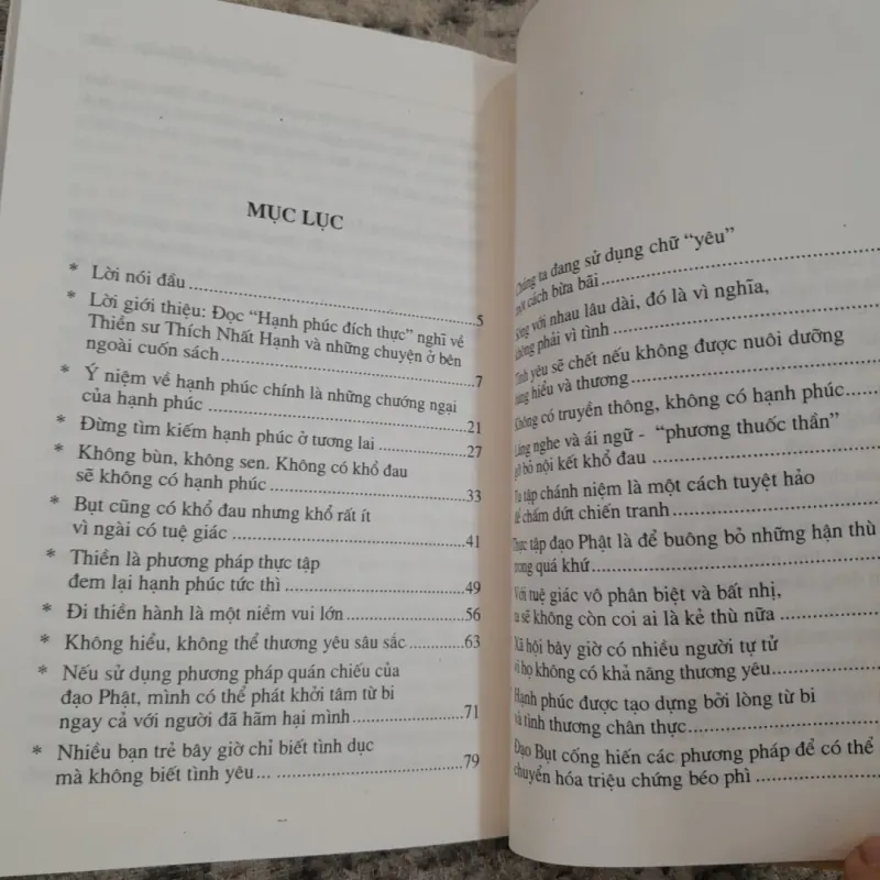 HẠNH PHÚC đích thực - Nhà báo Hoàng A Sướng trò chuyện với Thiền Sư Thích Nhất Hạnh 777066