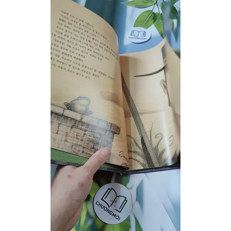 [Tặng nẹp góc] Truyện thiếu nhi Hàn Quốc: Moyamo Anu 23 -  모야모 아누와: 옥수수 도둑;. 회오리바람 732015