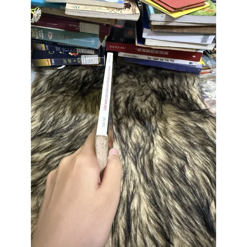 Cẩm nang cách dùng và sự phối hợp các thì của tiếng Anh 599877