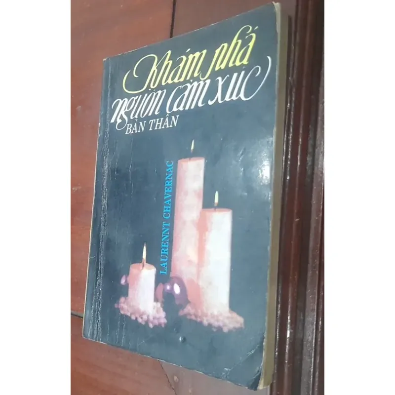 Laurent Chavernac - KHÁM PHÁ NGUỒN CẢM XÚC BẢN THÂN 543038
