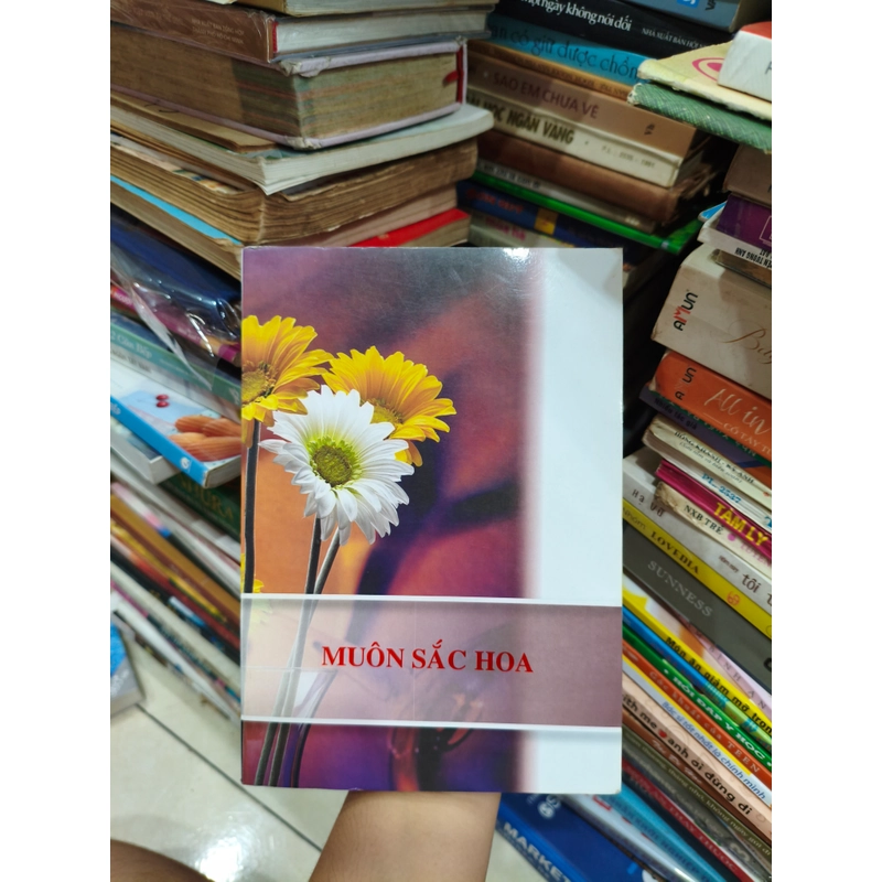 Muôn sắc hoa 🌱 537502
