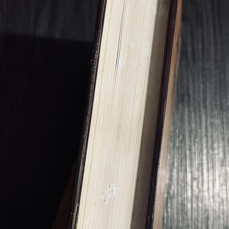 Combo 2c sách về mỹ thuật 745077