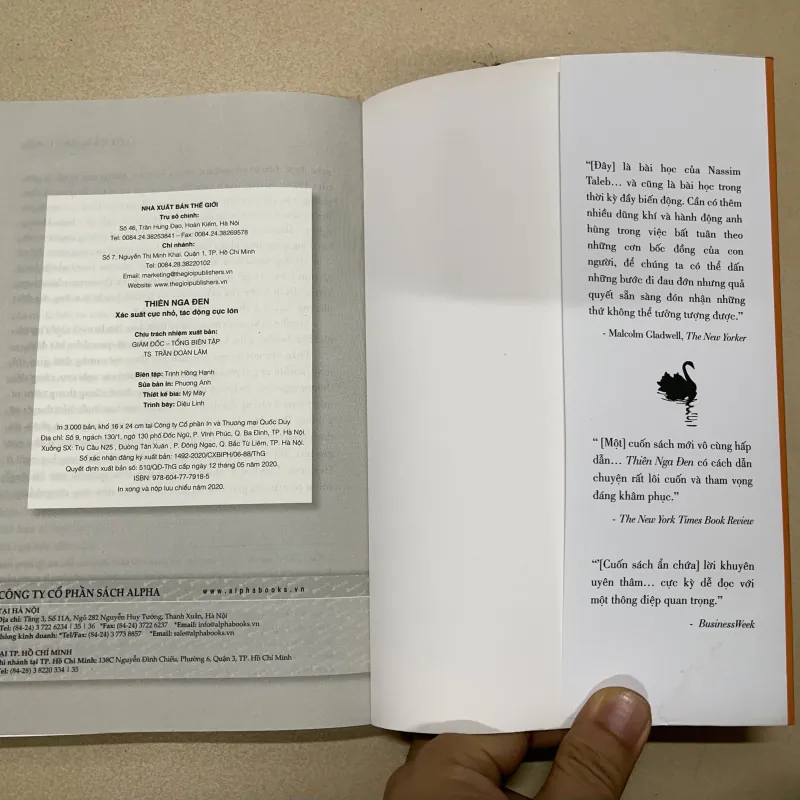 Thiên nga đen (c) 1022101