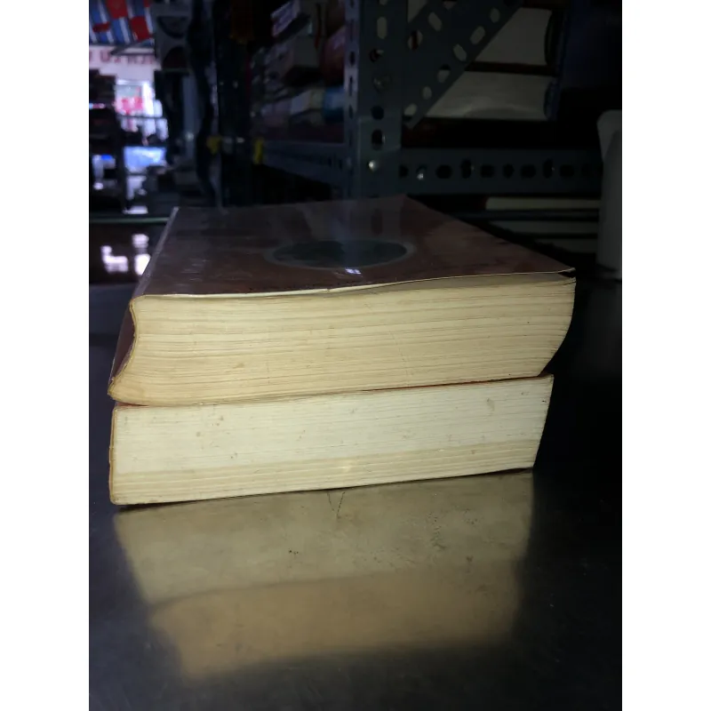 Luận đại trí độ  1009416