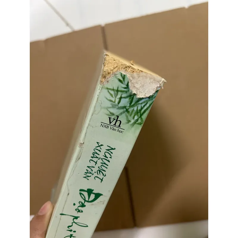 Đạo phi thiên hạ 563222