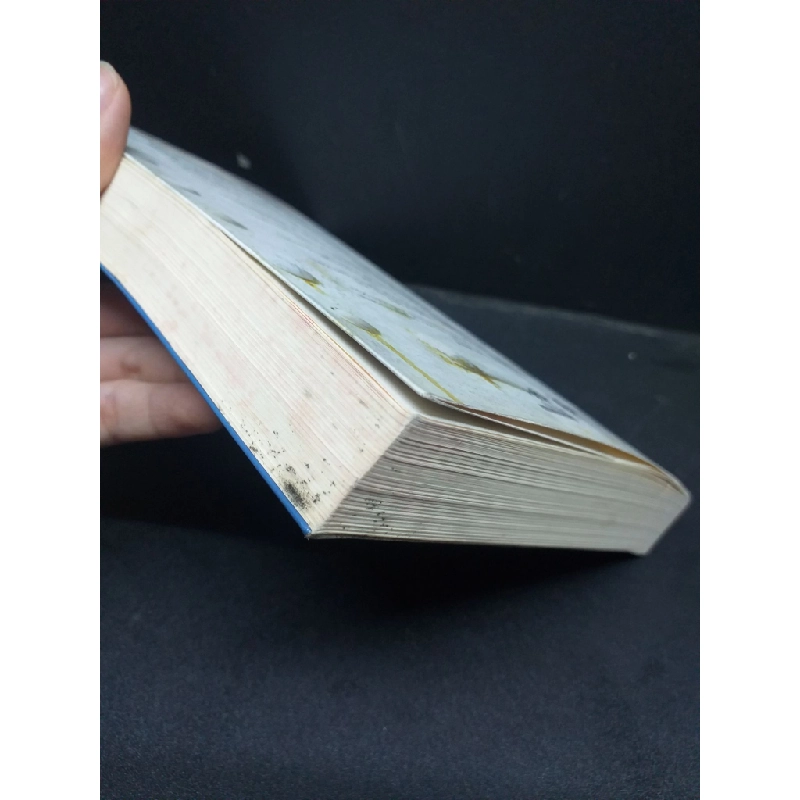 Cuộc đời của Pi mới 90% bị gấp nếp gáy 2013 HCM0107 Yann Martel VĂN HỌC Oreka-Blogmeo 177296