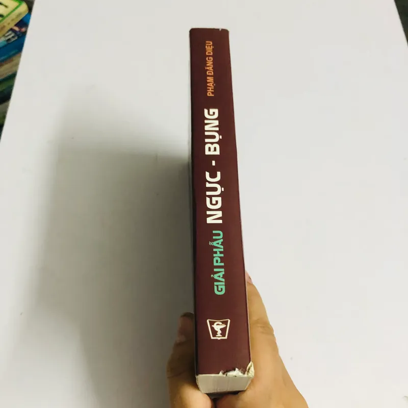 GIẢI PHẪU NGỰC - BỤNG  562735
