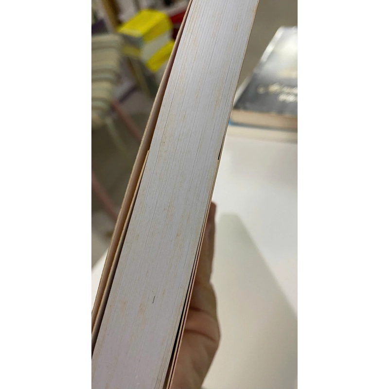 Tìm lại di sản (NNC Lại Nguyên Ân) 478802