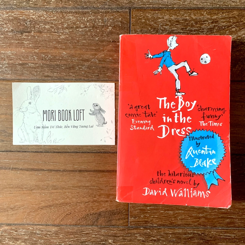 Sách ngoại văn The Boy in the Dress – David Walliams, Used, cluong bìa xấu, trình độ B1 498780