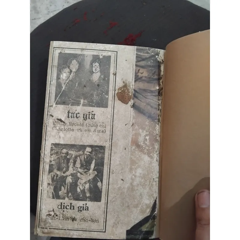 Đỉnh gió hú của Emily Bronte 960820