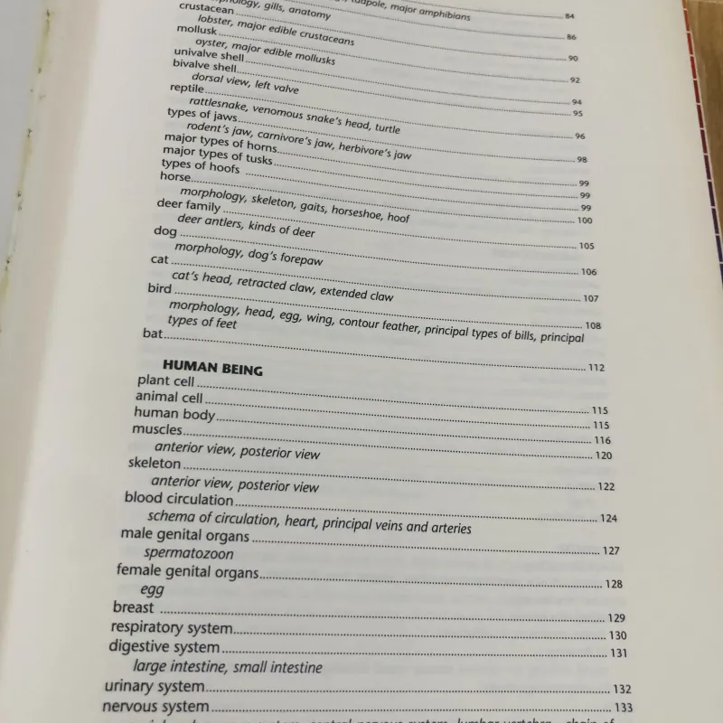 THE MACMILLAN VISUAL DICTIONARY 968636