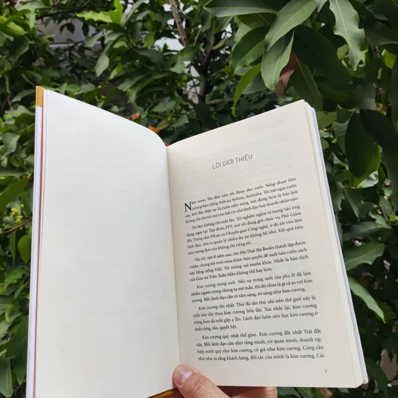 Năng Đoạn Kim Cương 706363