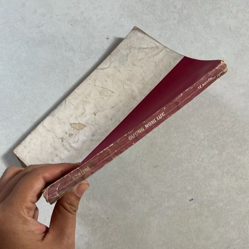 Gương Nghị lực — Tế Xuyên — 1989s 499099